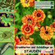 Krankheiten und Schädlinge an Stauden
