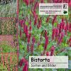 Cover Bistorta CD