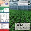 Cover BeTa6