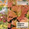 Cover Epimedium Rodgersia CD