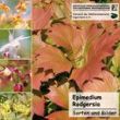 Epimedium Rodgersia CD