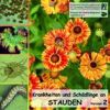 Cover Krankheiten und Schädlinge an Stauden