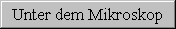 Unter dem Mikroskop